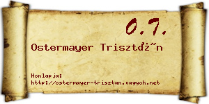 Ostermayer Trisztán névjegykártya